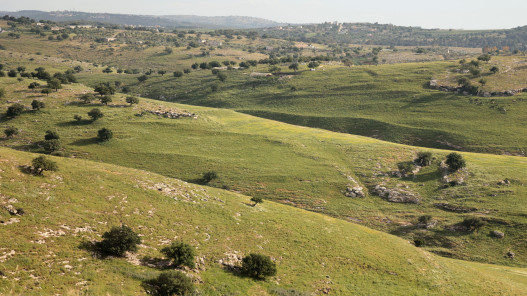 صورة حول : طقس بارد نسبياً الأحد وارتفاع تدريجي على الحرارة حتى الأربعاء مع أجواء دافئة ومغبرة أحياناً طقس بارد نسبياً الأحد وارتفاع تدريجي على الحرارة حتى الأربعاء مع أجواء دافئة ومغبرة أحياناً