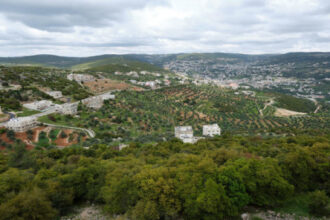 مختصون: العمال شريك رئيسي في بناء المجتمع