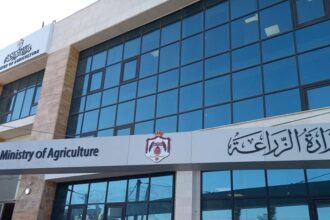 عمرو: تعديل نظام الأسواق للحد من البيع العشوائي