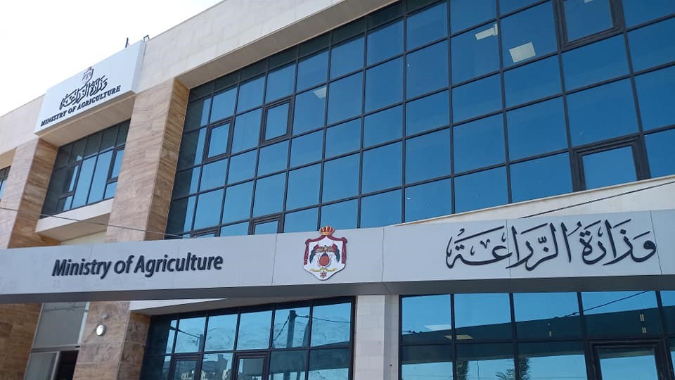 عمرو: تعديل نظام الأسواق للحد من البيع العشوائي