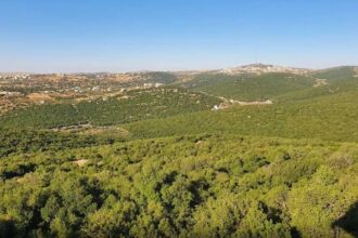 عجلون تكثف استعداداتها للوقاية من حرائق الغابات