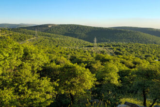 وزير الزراعة يتفقد مديرية زراعة البلقاء