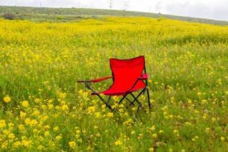 ارتفاع تدريجي على درجات الحرارة حتى الخميس وأجواء ربيعية لطيفة في معظم المناطق