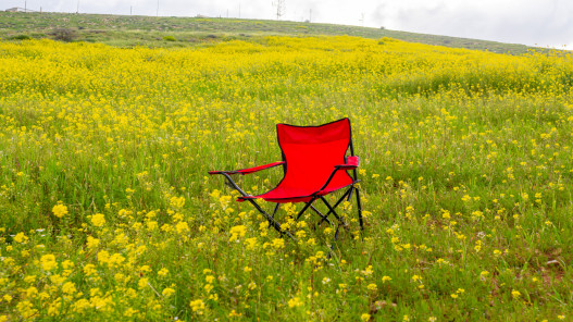 ارتفاع تدريجي على درجات الحرارة حتى الخميس وأجواء ربيعية لطيفة في معظم المناطق