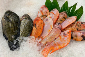 اتفاق أردني–مصري لتسهيل تصدير الأسماك وتعزيز سلاسل الإمداد