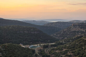 الخريسات يتفقد مديرية الحراج ويؤكد رفع الجاهزية لحماية الغابات خلال الصيف