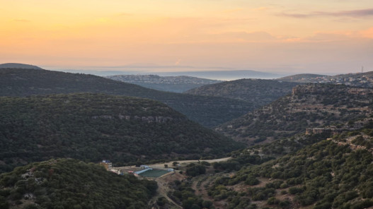 الخريسات يتفقد مديرية الحراج ويؤكد رفع الجاهزية لحماية الغابات خلال الصيف