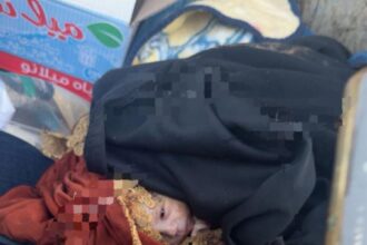 صدمة في محافظة الكرك.. العثور على رضيع داخل حاوية نفايات (صورة)