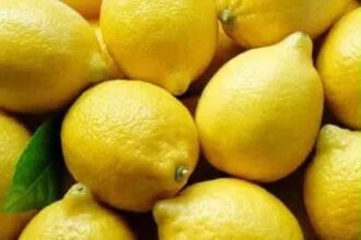 الغزاوي : ليمون تركي المنشأ يدخل الاسواق ويعرض صحة المستهلك للخطر و غياب وزارة الزراعة عن المشهد