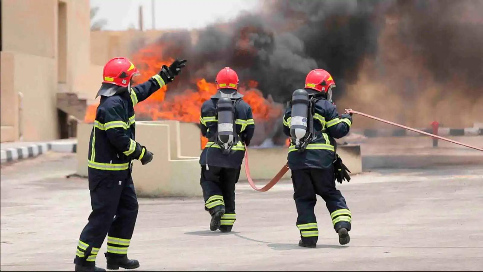 مصر.. 30 حالة اختناق إثر حريق ضخم بمنشأة زراعية
