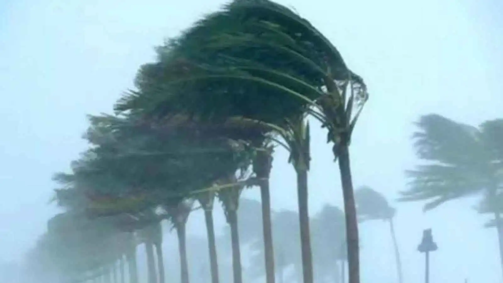 بسبب اضطرابات الطقس.. وفاة طفل جزائري بشكل مأساوي