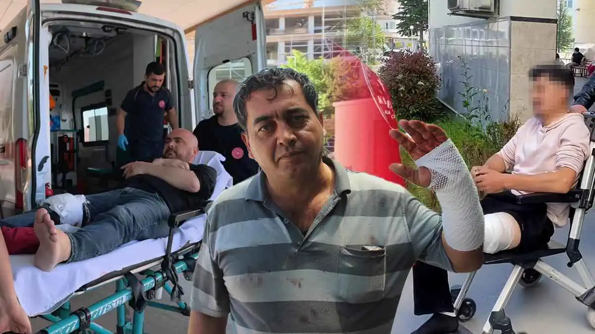 13 ألف مصاب خلال حوادث ذبح الأضاحي في تركيا (فيديو)