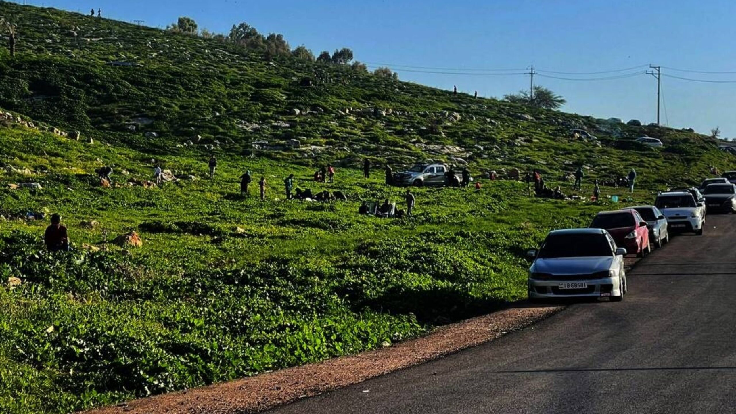 عجلون تشهد إقبالاً سياحياً واسعاً خلال عطلة