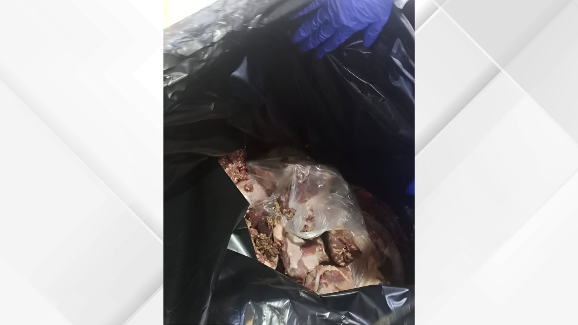 بلدية المفرق الكبرى تضبط وتتلف كميات من اللحوم غير الصالحة للاستهلاك