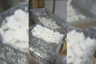 إتلاف 20 طن أجبان وإغلاق مشغل غير مرخص