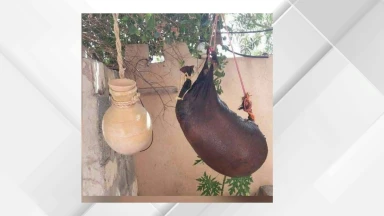 صورة حول : الشَّكْوة تعود لتصنع نكهة الماضي في عجلون الشَّكْوة تعود لتصنع نكهة الماضي في عجلون