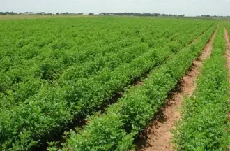 الكرك: مطالب بتعبيد طريق الحديب لخدمة المزارعين