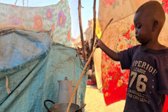 نحو 19.5 مليون شخص يواجهون جوعا حادا وخطر المجاعة في السودان