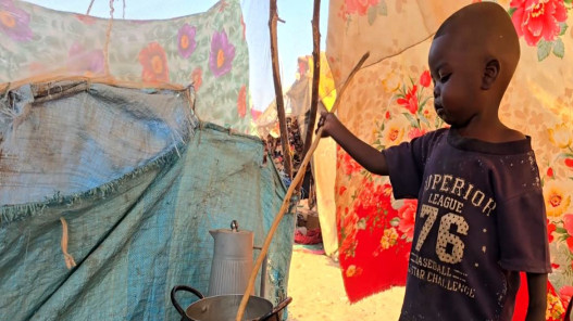نحو 19.5 مليون شخص يواجهون جوعا حادا وخطر المجاعة في السودان