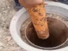 حملة أمنية واسعة في الشونة الجنوبية لضبط آبار مخالفة وردم اعتداءات على مصادر المياه