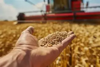 روسيا: صادرات الحبوب تسجل نموًا بنحو 55%