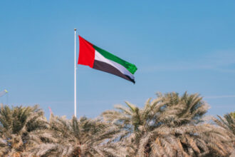 الدفاعات الجوية الإماراتية تعترض مسيّرتين قادمتين من إيران