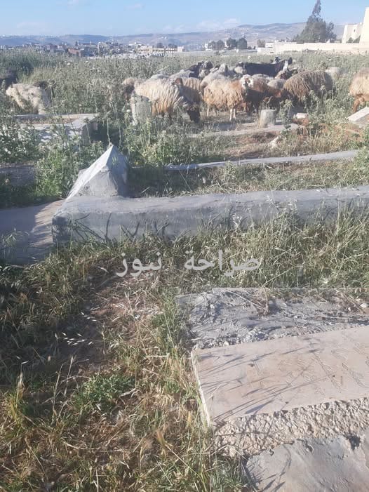 صورة حول : مقبرة في مخيم البقعة تشهد حالة إهمال وتضرر في شواهد القبور والأشجار (صورة) مقبرة في مخيم البقعة تشهد حالة إهمال وتضرر في شواهد القبور والأشجار (صورة)