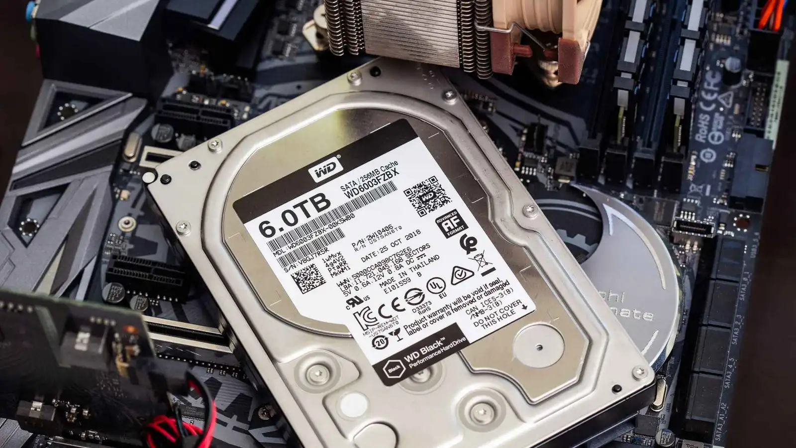 صورة حول : أخطاء شائعة تسرّع تلف أقراص SSD.. احذرها أخطاء شائعة تسرّع تلف أقراص SSD.. احذرها
