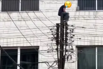 الأمن العام يتمكن من ردع شاب حاول الانتحار من على عامود كهربائي
