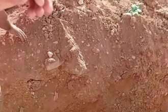 موقف إنساني مؤثر في مقبرة سحاب ( تفاصيل - صور)