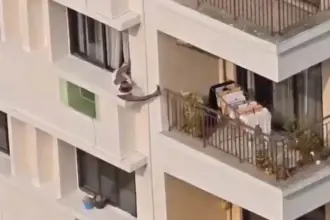 مشهد خطير لمسن على نافذة مبنى شاهق يثير موجة غضب (فيديو)