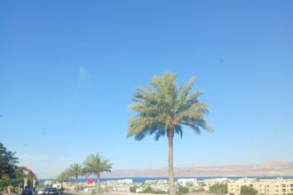 للحفاظ على إطلالة البحر: أهمية تعديل الأحكام التنظيمية بمخططات استعمالات الأراضي في العقبة