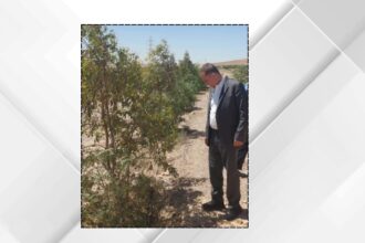 وزير الزراعة يتفقد غابة اليوبيل الفضي في القطرانة