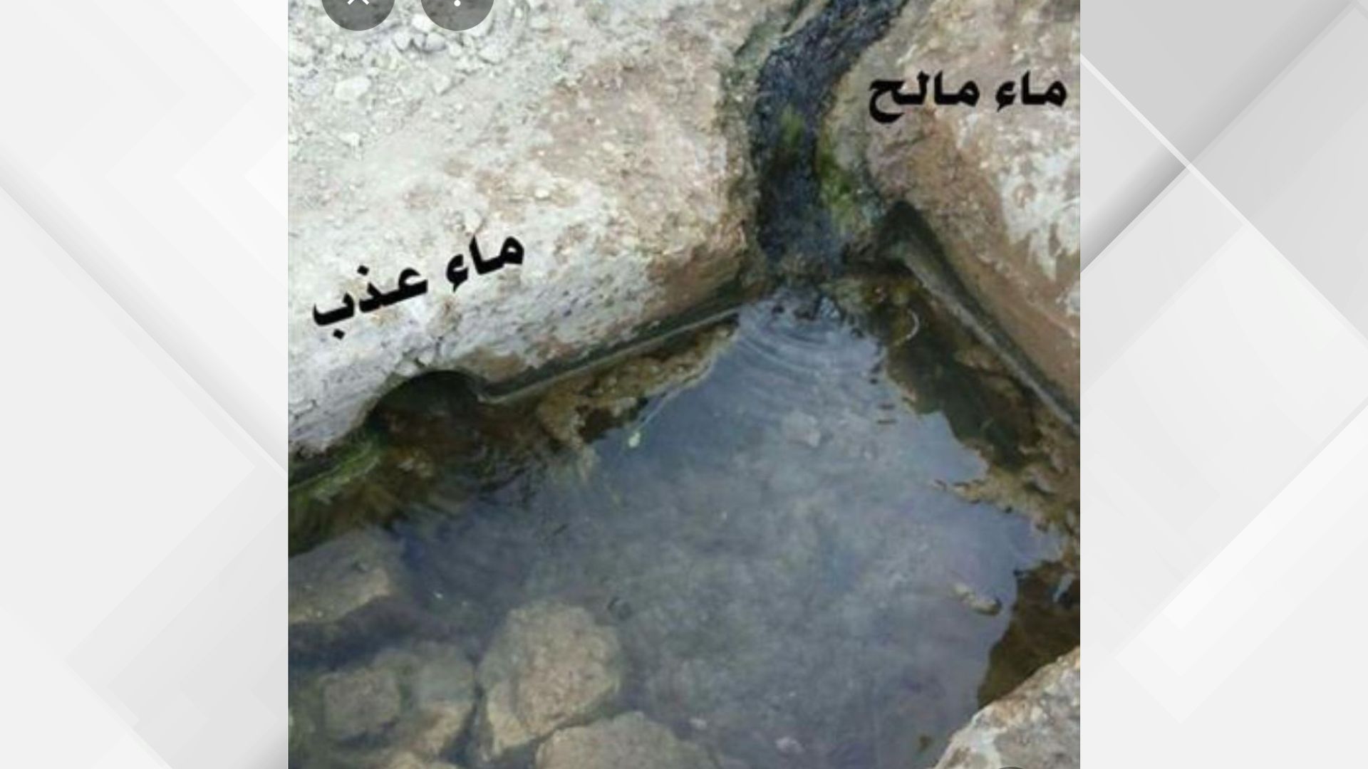 عين "ماء ملح" في بصيرا.. ظاهرة طبيعية نادرة تجمع العذوبة والملوحة في حوض واحد
