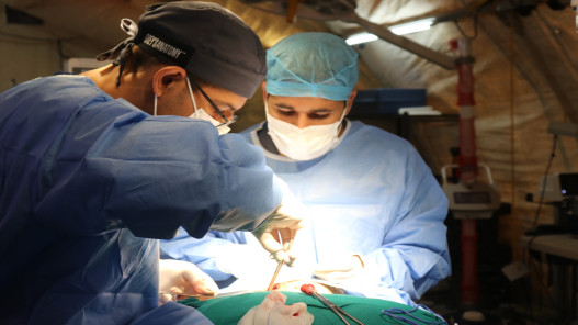 صورة حول : المستشفى الميداني الأردني جنوب غزة/10 ينجح باستئصال كيس خيشومي معقد لمريض المستشفى الميداني الأردني جنوب غزة/10 ينجح باستئصال كيس خيشومي معقد لمريض