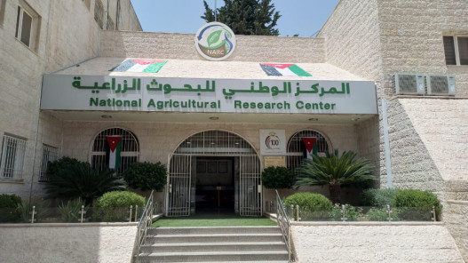 المركز الوطني للبحوث الزراعية يطلق 39 مشروعاً بحثياً ريادياً لعام 2026