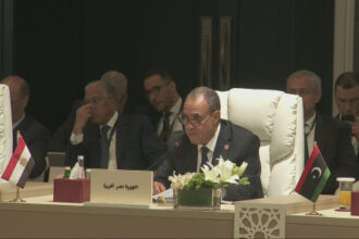 عبد العاطي: اتساع التهديد وعدم الاستقرار يهددان أمن المنطقة العربية