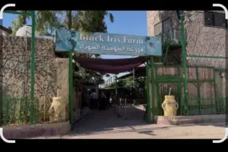 مزرعة السوسنة.. المحكمة الإدارية توقف تنفيذ قرار الوزارة مؤقتًا لحين الفصل بالدعوى