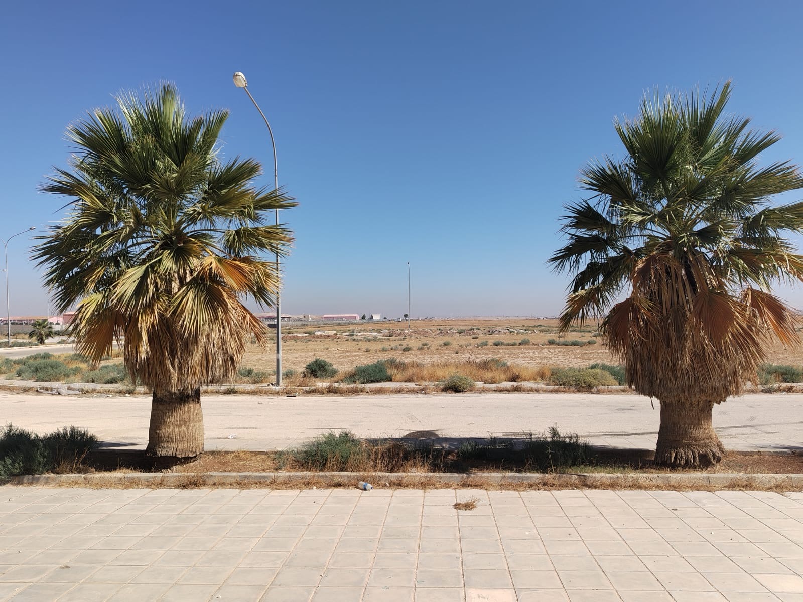 شكوى من تحول مسجد مهجور شرق مطار الملكة علياء إلى بؤرة للعبث والمخالفات.. ومناشدة للأوقاف للتدخل
