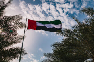 الإمارات تحبط هجمات سيبرانية متطورة استهدفت القطاع المالي