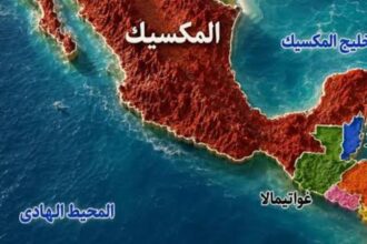زلزال بقوة 7.3 درجات يضرب الحدود بين المكسيك وغواتيمالا