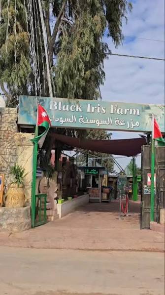 مالك السوسنة السوداء: المحكمة العليا تقرر فتح الحديقة وإبطال قرار إغلاقها