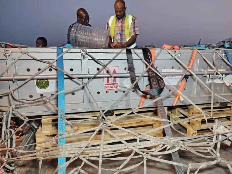 صورة حول : اعادة تمساح نادر من الأردن الى السودان (فيديو وصور) اعادة تمساح نادر من الأردن الى السودان (فيديو وصور)