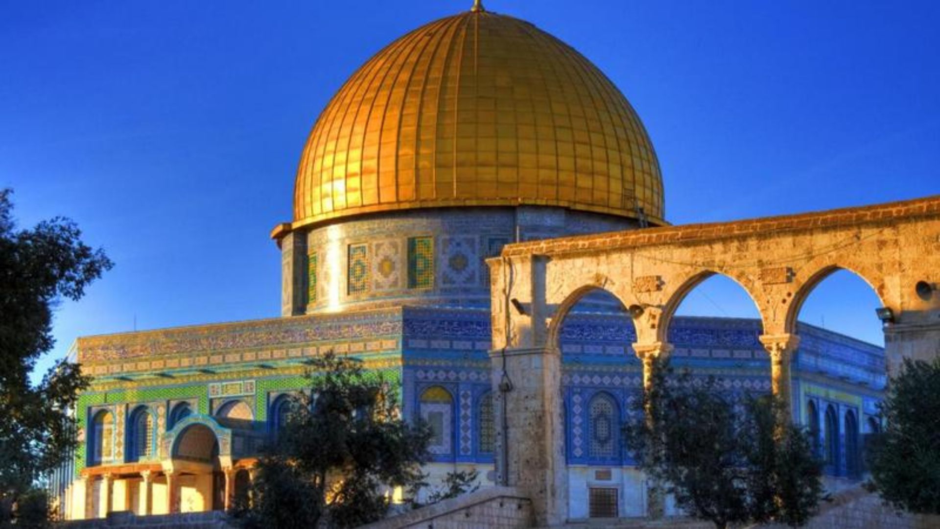 صورة حول : لجان المخيمات تثمن مواقف الأردن في دعم فلسطين والقدس لجان المخيمات تثمن مواقف الأردن في دعم فلسطين والقدس