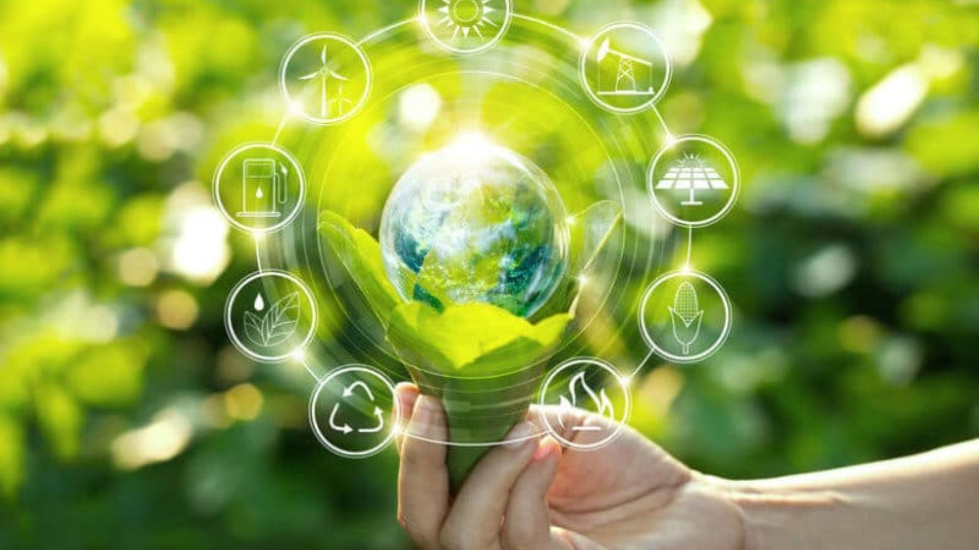 المهارات الخضراء مفتاح نجاح التحول الطاقوي في الأردن