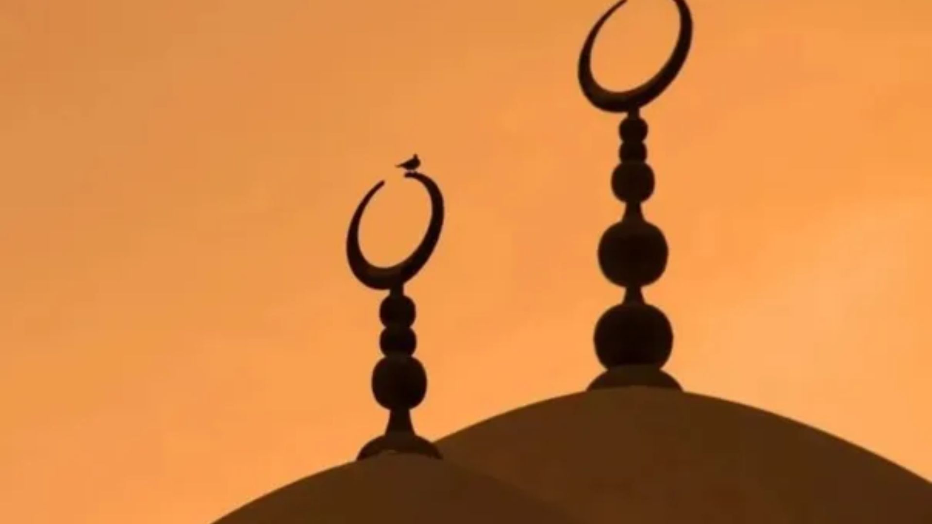 مدير أوقاف الكورة: ربط مساجد اللواء بالأذان الموحد فضائيا