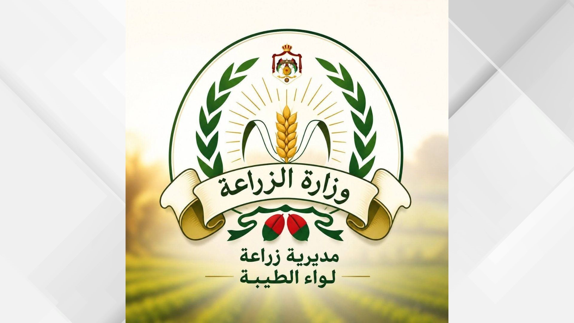 صورة حول : زراعة الطيبة: المراقبة المبكرة والمكافحة المتكاملة تحدّان من أضرار ذبابة الزيتون زراعة الطيبة: المراقبة المبكرة والمكافحة المتكاملة تحدّان من أضرار ذبابة الزيتون