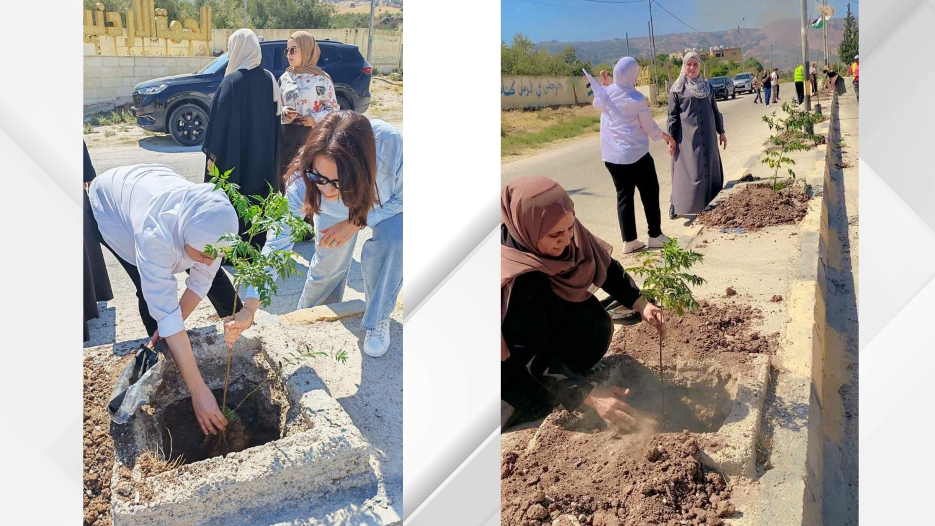 مبادرة بيئية في الحمّة الأردنية لزراعة الأشجار وتعزيز مواجهة التغير المناخي