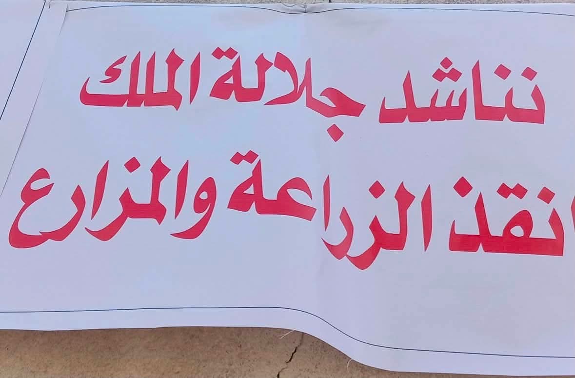 الغزاوي: ١٢ مليون كغم ليمون مستورد سمحت وزارة الزراعة بدخولها الاردن !!! ووقفة احتجاجية قريبا..