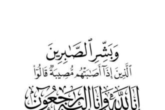 الدكتور إبراهيم بشير الرواشدة ينعى شقيقه مهند ( ابو صهيب )